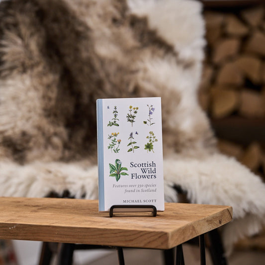 Scottish Wild Flowers