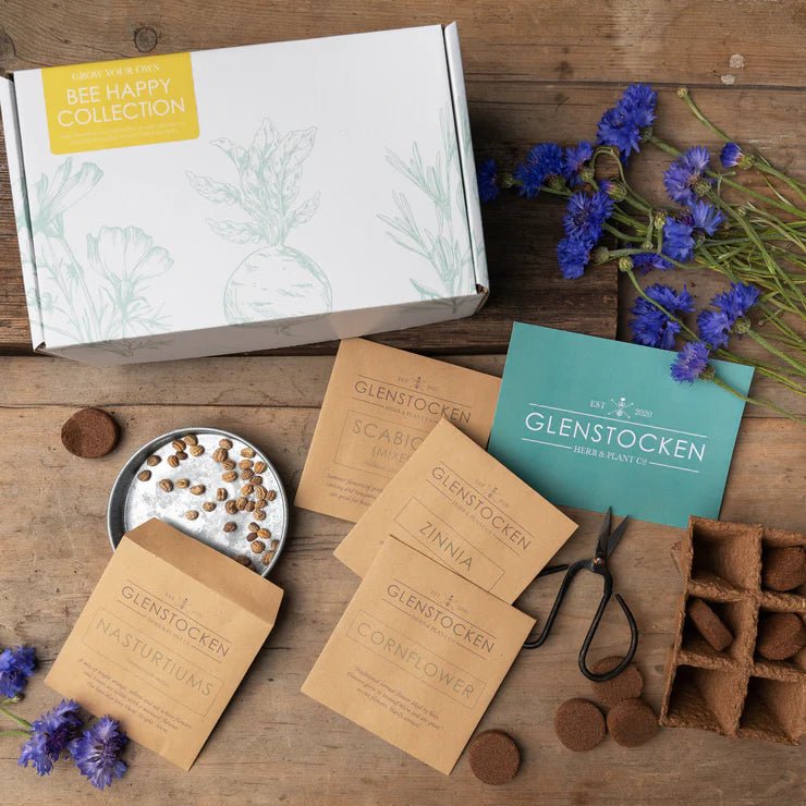 Bee Happy Growing Kit - Hidden Scotland