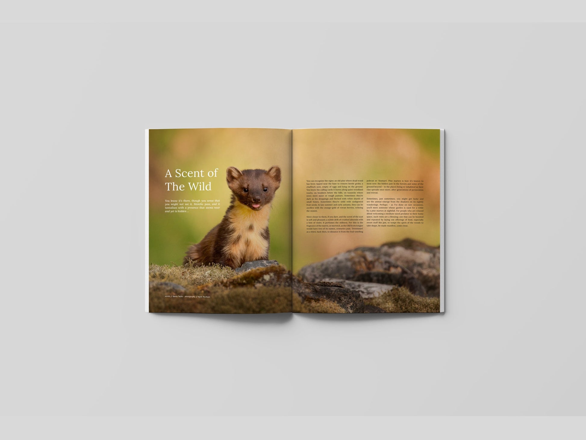 Hidden Scotland Magazine Issue 05 - Hidden Scotland