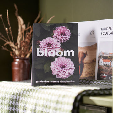 Bloom