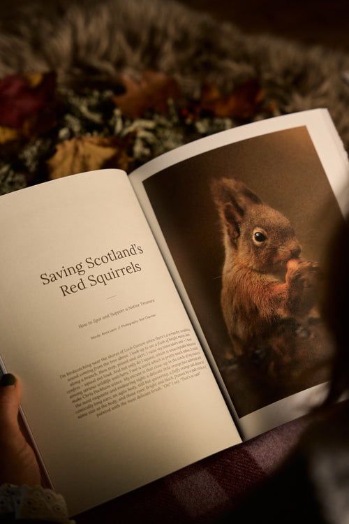 Hidden Scotland Magazine Issue 11