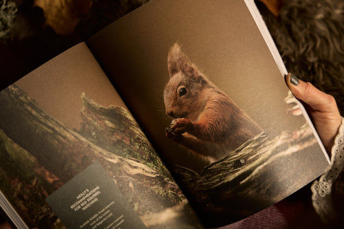 Hidden Scotland Magazine Issue 11