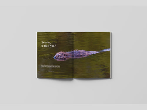 Hidden Scotland Magazine Issue 08
