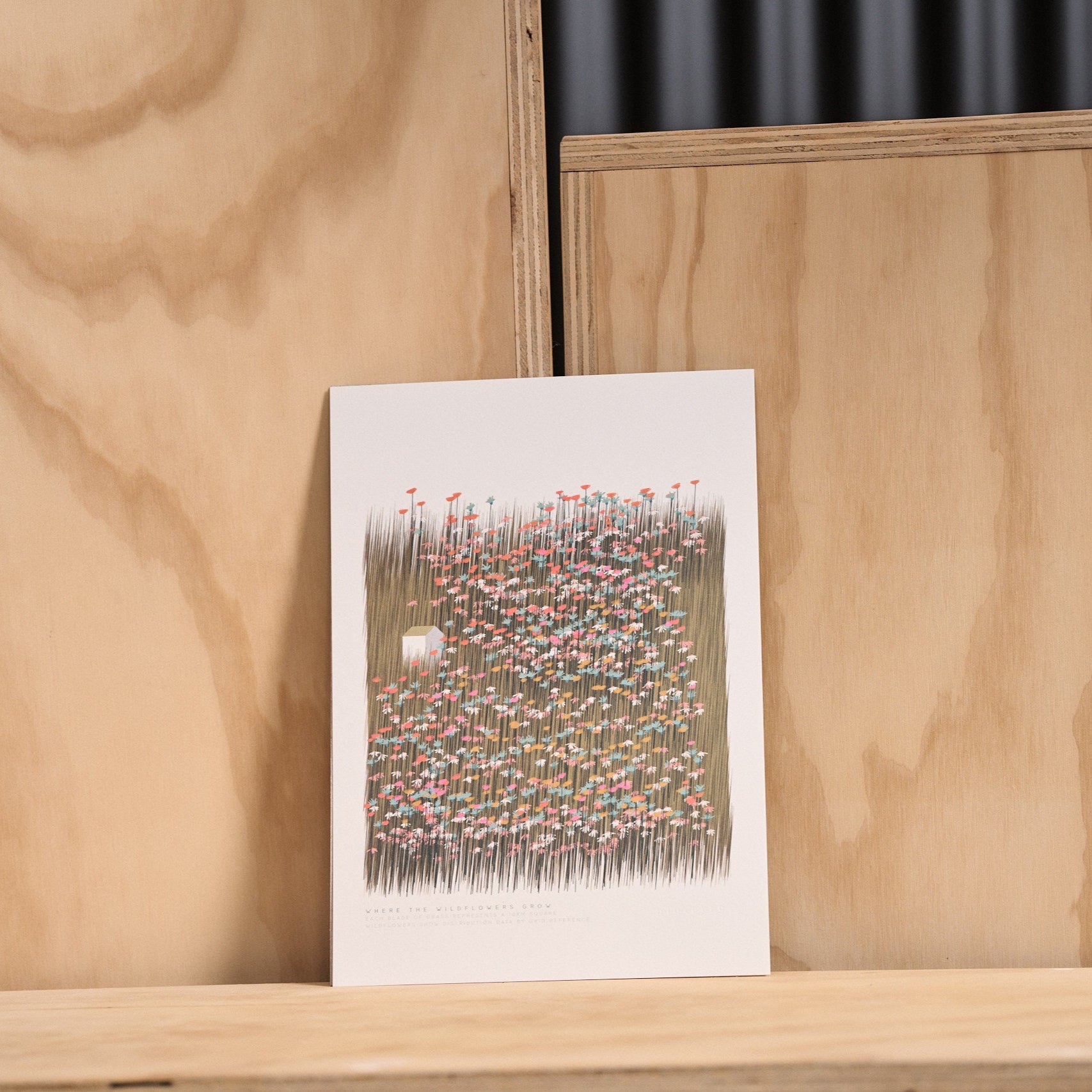 Wild flowers print