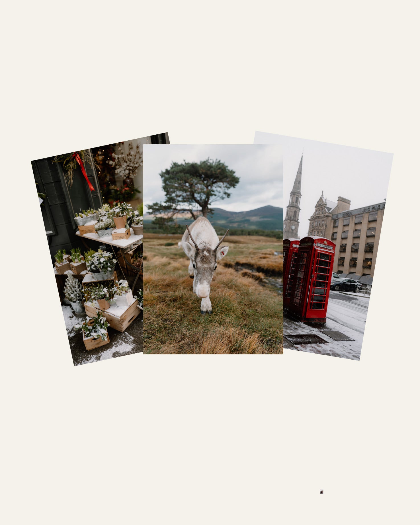 Festive Scotland Wallpaper Set - 44 Photographs