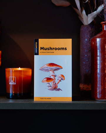 Mushrooms : A Falcon Field Guide