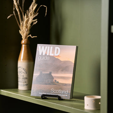 wild guide