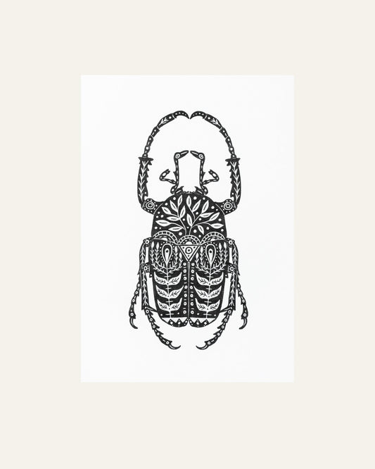 A4 Stag Beetle Print - Hidden Scotland