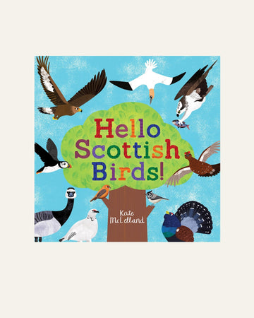 Hello Scottish Birds - Hidden Scotland