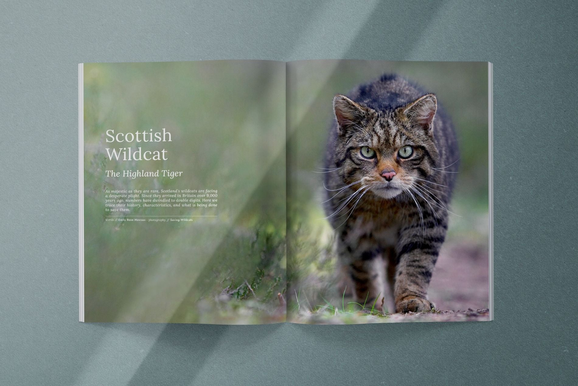 Hidden Scotland Magazine Issue 02 - Hidden Scotland