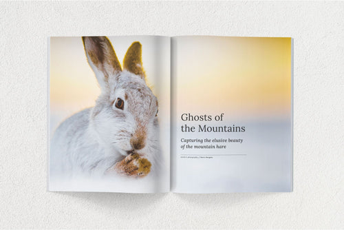 Hidden Scotland Magazine Issue 03 - Hidden Scotland