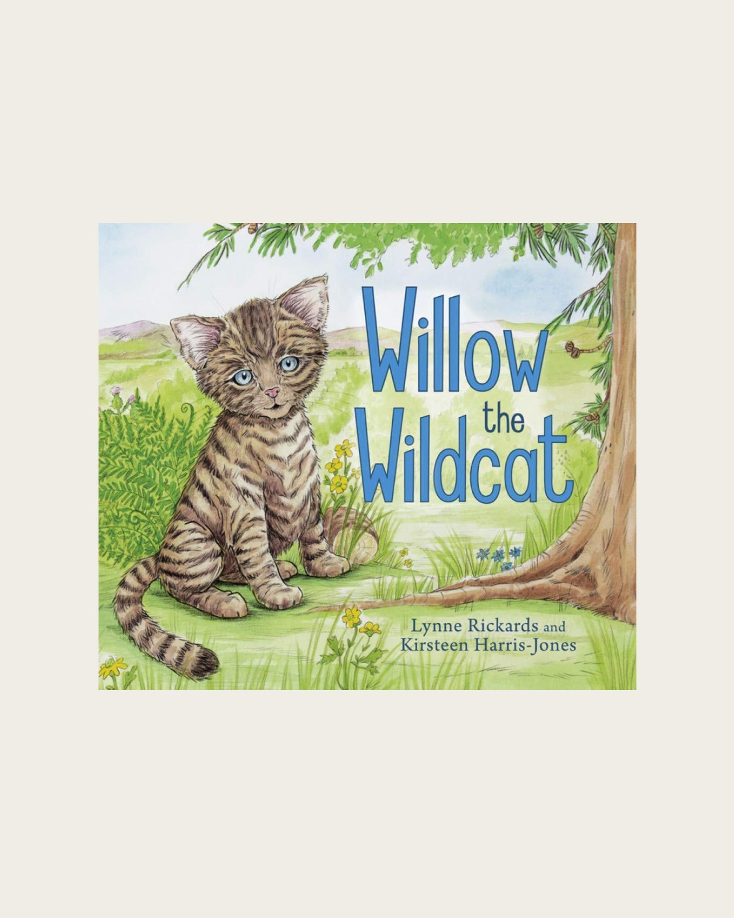 Willow the wildcat - Hidden Scotland